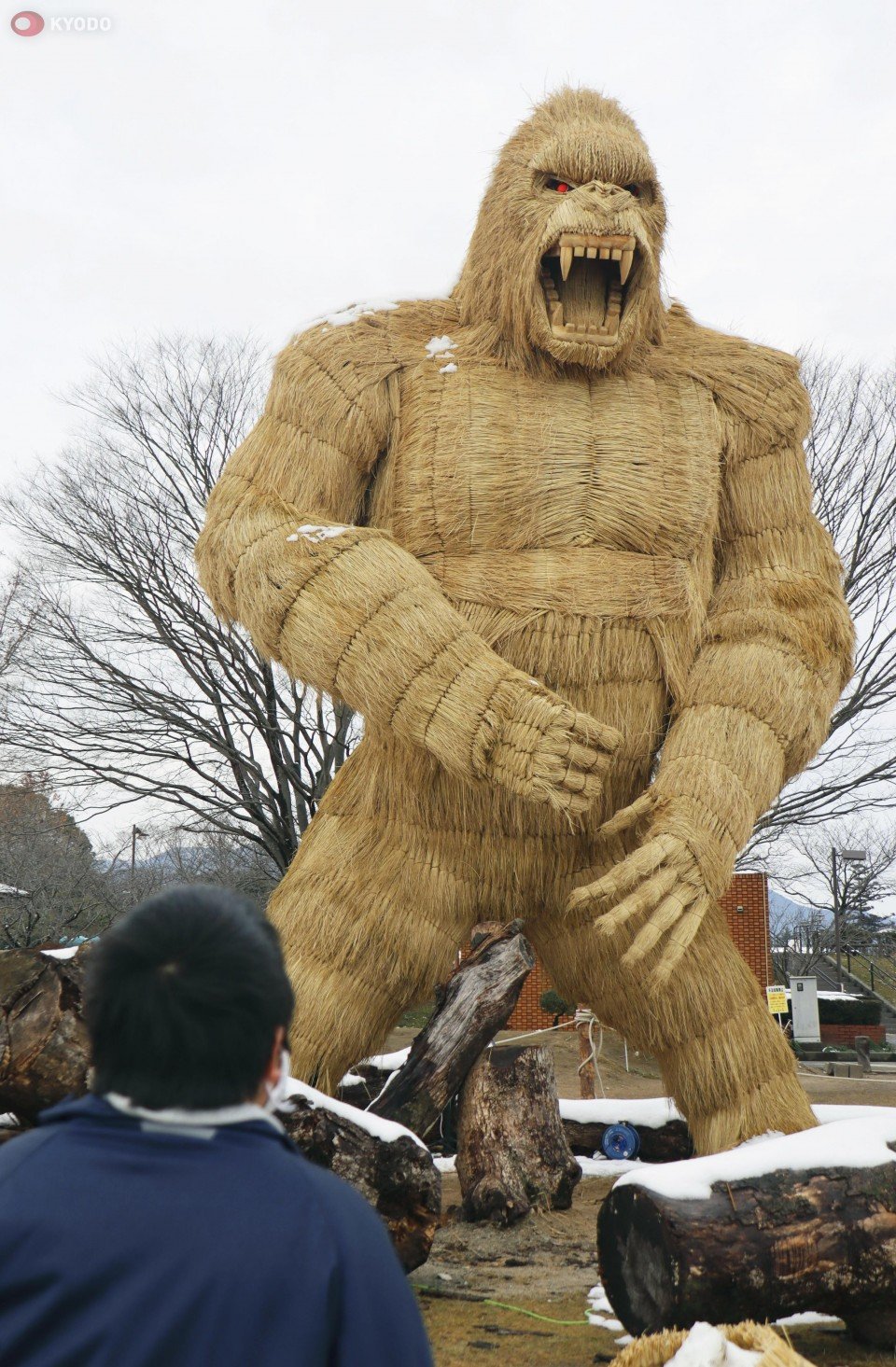 🦍 고릴라 공원(고리라 코엔) 이미지 8